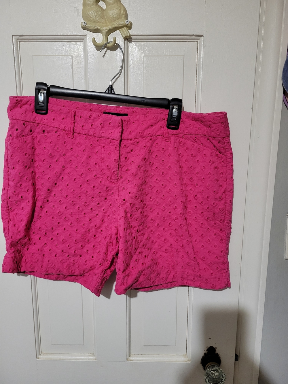 The Limited Hot Pink Shorts